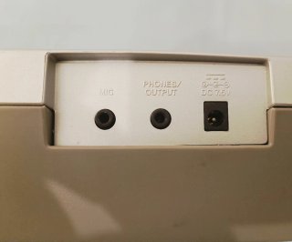 Pianola Casio SA-75 Elettrica batterie incluse