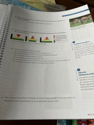 Quadern ProDigi. Biologia i Geologia 3 ESO