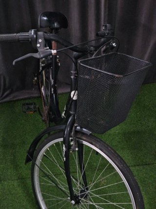 Bicicleta de paseo