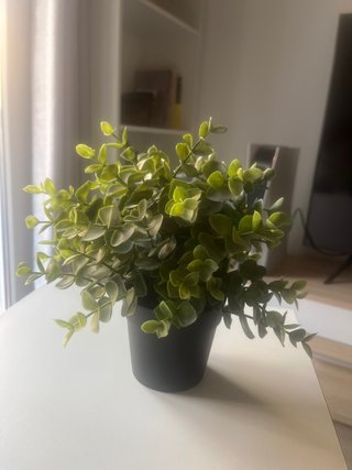 Pequeña Planta artificial verde en maceta negra