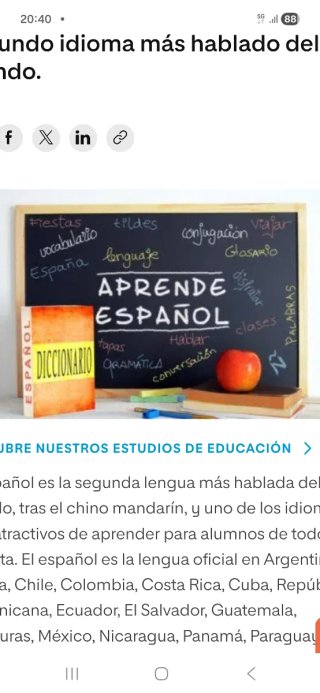 Clases de español on line para extranjeros.
