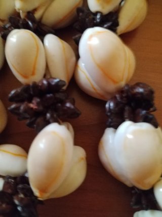 Collana conchiglie beige e marroni