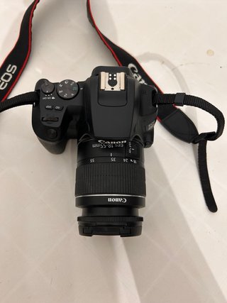 Canon EOS 250D Cámara Negra