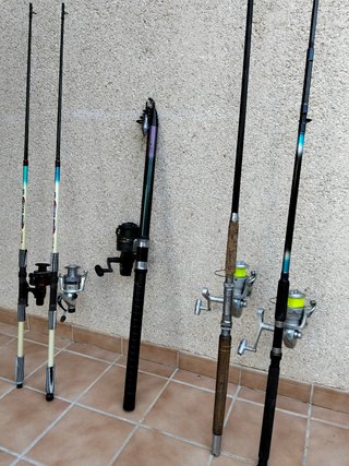 Lote de 5 cañas de pescar