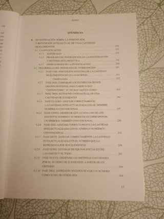 Desarrollo del pensamiento lógico y matemático ...