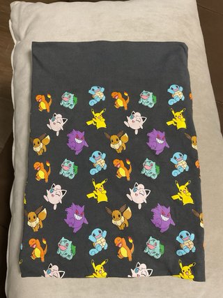Braga niño Pokemon