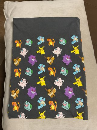 Braga niño Pokemon