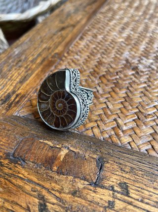 Anillo Fósil Ammonite Plata