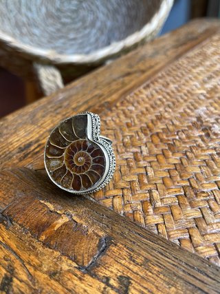 Anillo Fósil Ammonite Plata