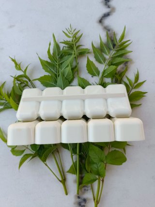 Sushi easy mold