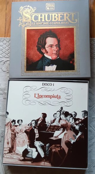 Cofanetto 10 Vinili Musica Classica Schubert