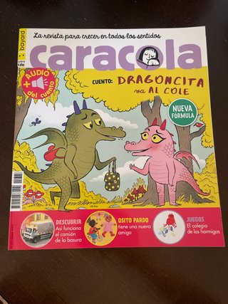 Revista