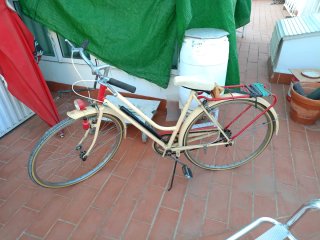 Bicicleta de paseo clásica