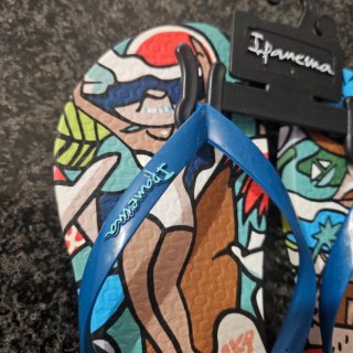 Chanclas Ipanema Multicolor