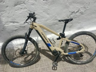 Bicicleta eléctrica Haibike Beige