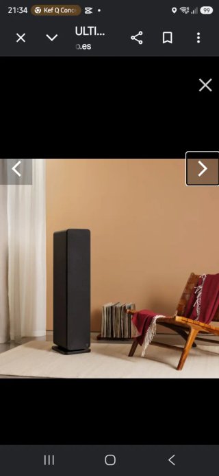 Altavoces de suelo negros
