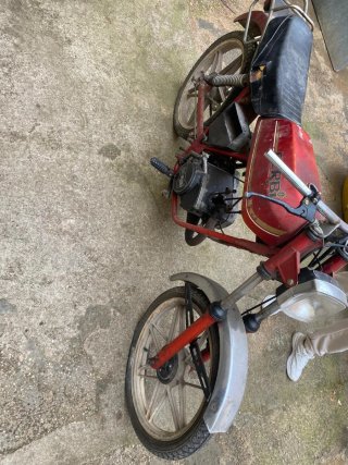 Derbi FDS World Champion Negra/Roja