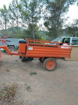 Tractomula Pascuali con remolque