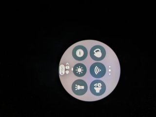 Samsung Galaxy Watch 8 Negro/Gris Smartwatch