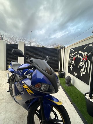 Yamaha TZR 49cc Azul y Amarillo