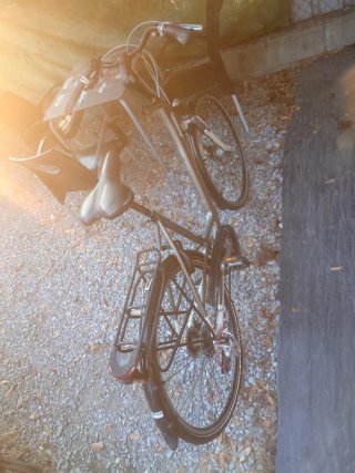 Bicicleta de paseo gris