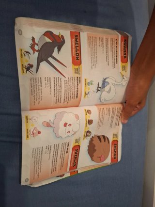 Guía Pokémon Super Extra Deluxe Esencial