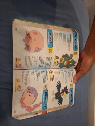 Guía Pokémon Super Extra Deluxe Esencial