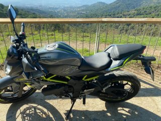 Kawasaki Z125 gris/verde