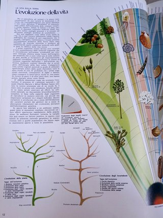 Enciclopedia Cosmo