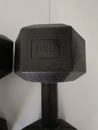 Mancuernas 20kg (par)