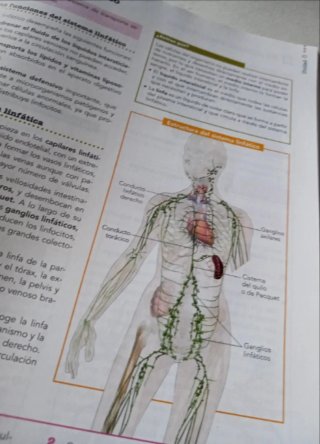 Anatomía aplicada Bachillerato 1