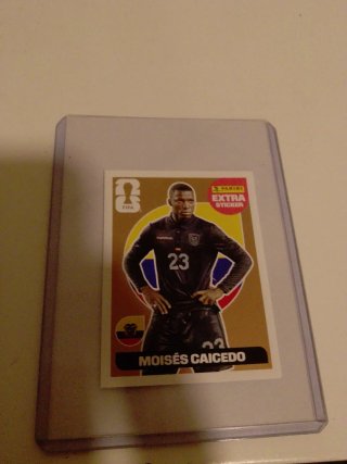 Moisés Caicedo Extra Sticker Bronce