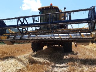 Cosechadora New Holland/Laverda 521 Integrale