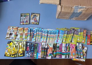 Lote de cromos de fútbol variado 1 (800)