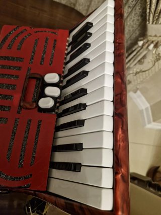 Fisarmonica Walter 48 Bassi
