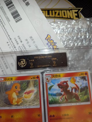 Carte Pokémon Charmander e Charmeleon CHN grad 9
