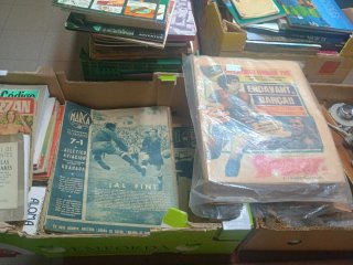Lote Libros Antigüedades TBO
