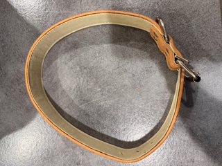 Set Guinzaglio e Collare per Cani