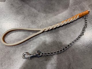 Set Guinzaglio e Collare per Cani