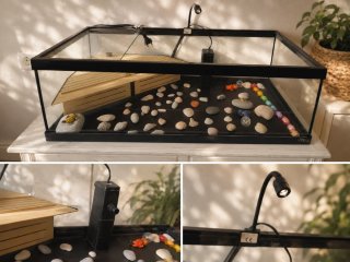 Acuario de cristal con accesorios
