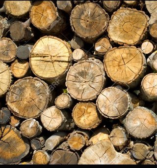 Leña seca y cortada para chimenea