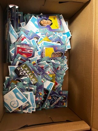 Panini Mundial Qatar 2022 Cromos