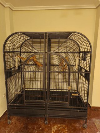 Jaula Twinara