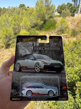 Hot Wheels Audi RS6 Avant Fast Wagons