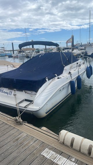 Barco de recreo sea ray