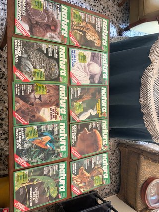 Lote 10 Revistas Natura 1983