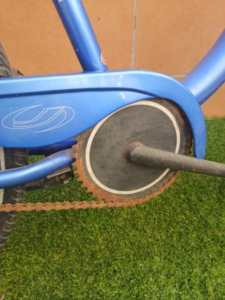 Bicicleta Paseo Earth Cruiser Azul
