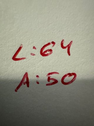 Polo Ralph Lauren Talla M Rojo