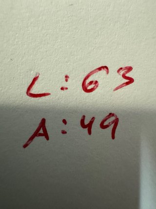 Polo Ralph Lauren S Rojo
