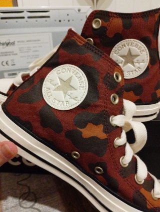 Converse Chuck Taylor  Stampa Animalier mis 38